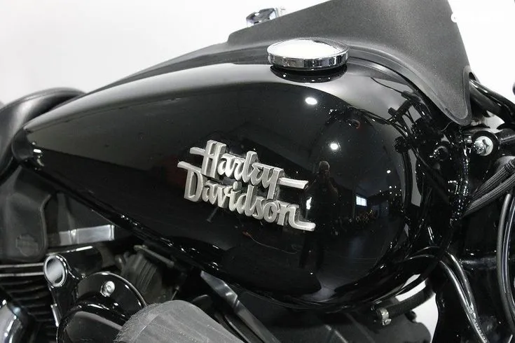 Harley-Davidson FXDB Image 3